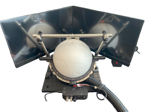 Virtual reality displays for mice