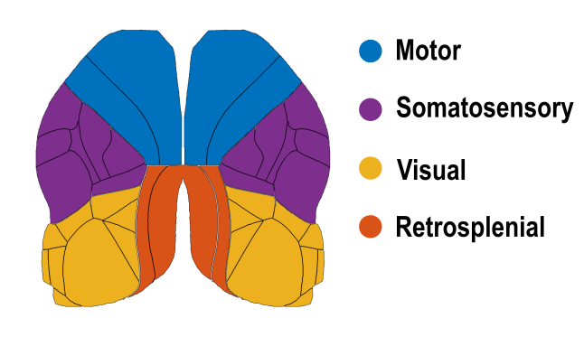 allen-top-view-main-areas