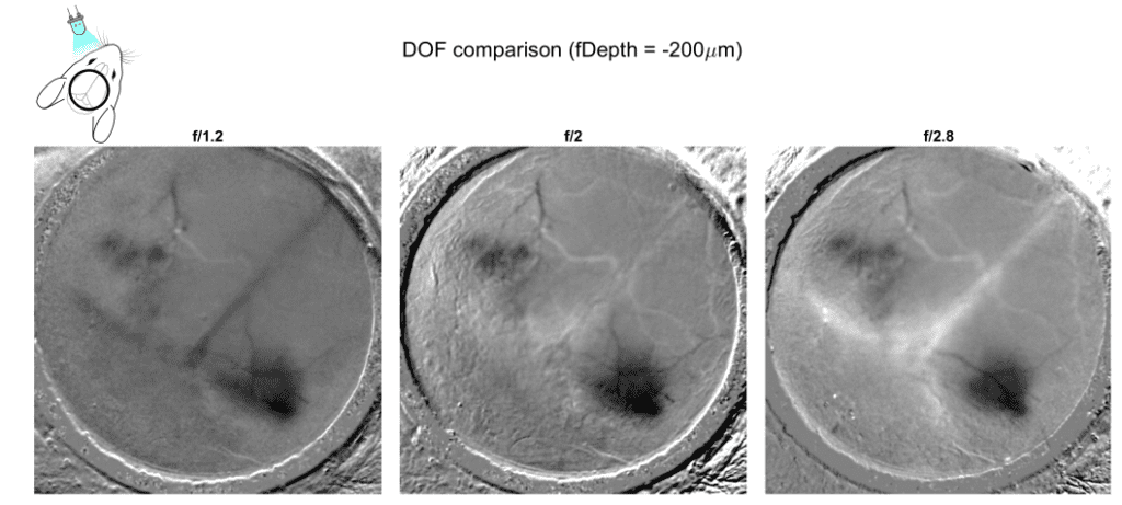 Adjusting depht-of-focus to enhance image quality in red channel