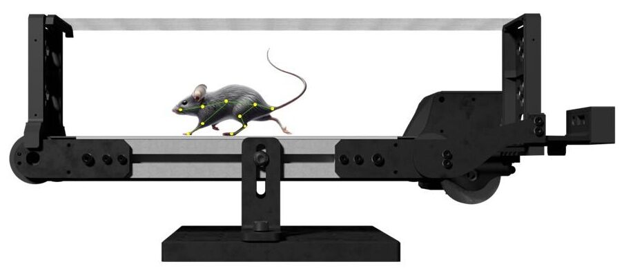 side view of Compact Benchtop treadmill for mice with pose estimation, posture tracking