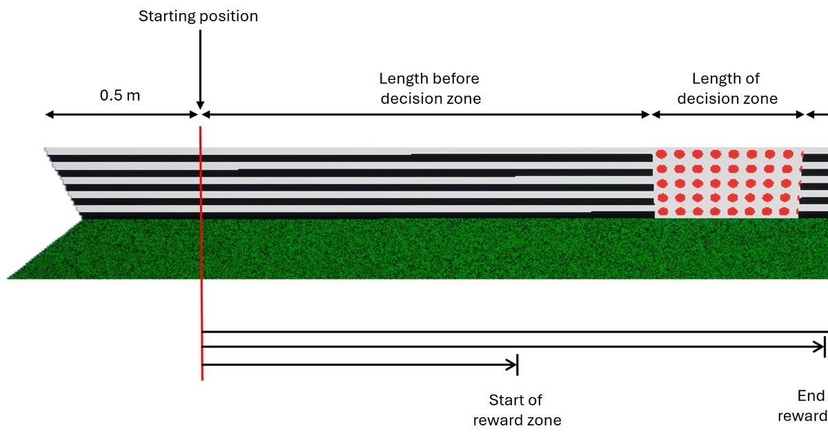 Layout diagram of the Configurable Corridor showing the decision zone, reward zone and end-of-trial distance