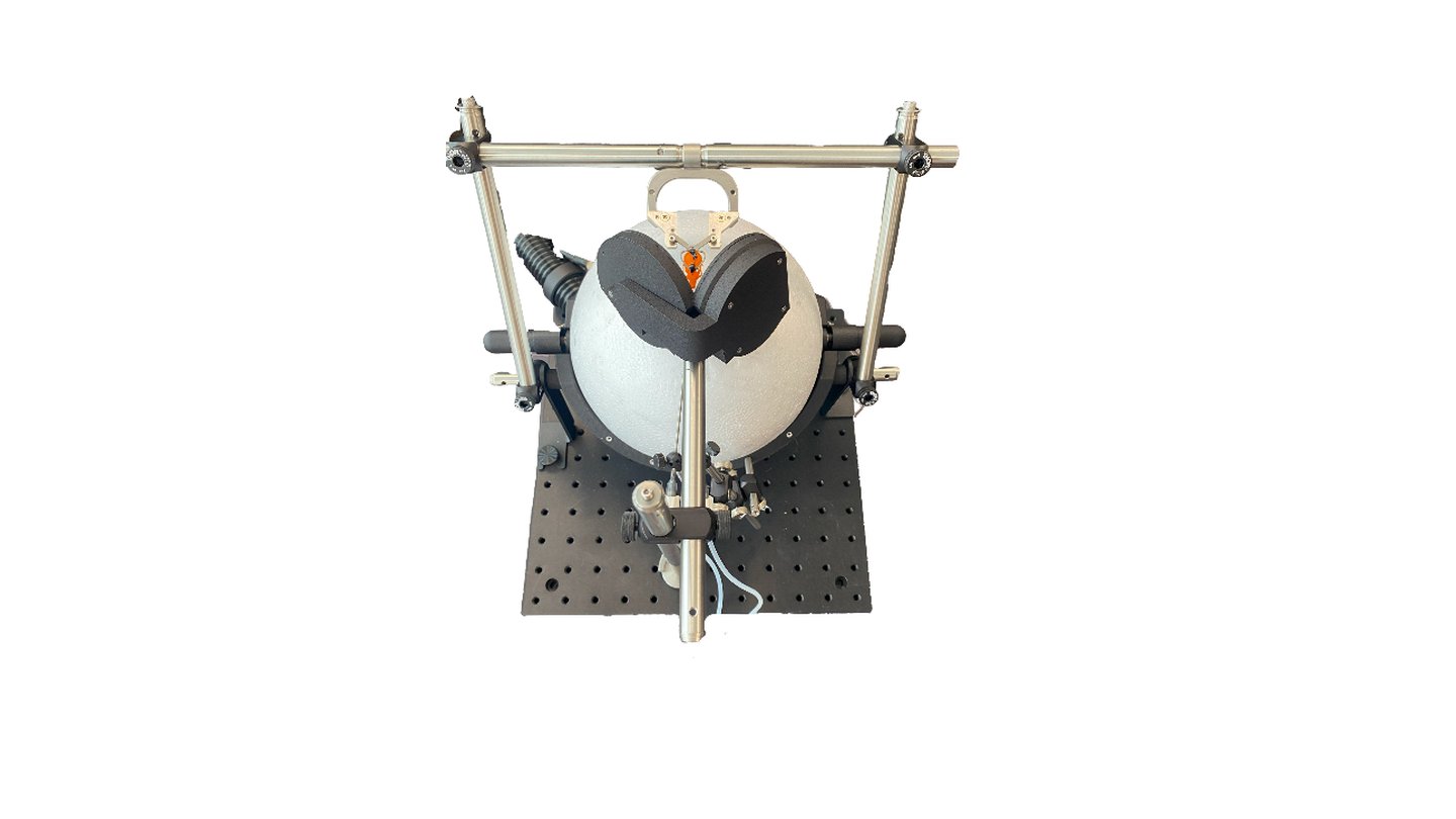 LabeoTech VR headset for mice above the spherical treadmill