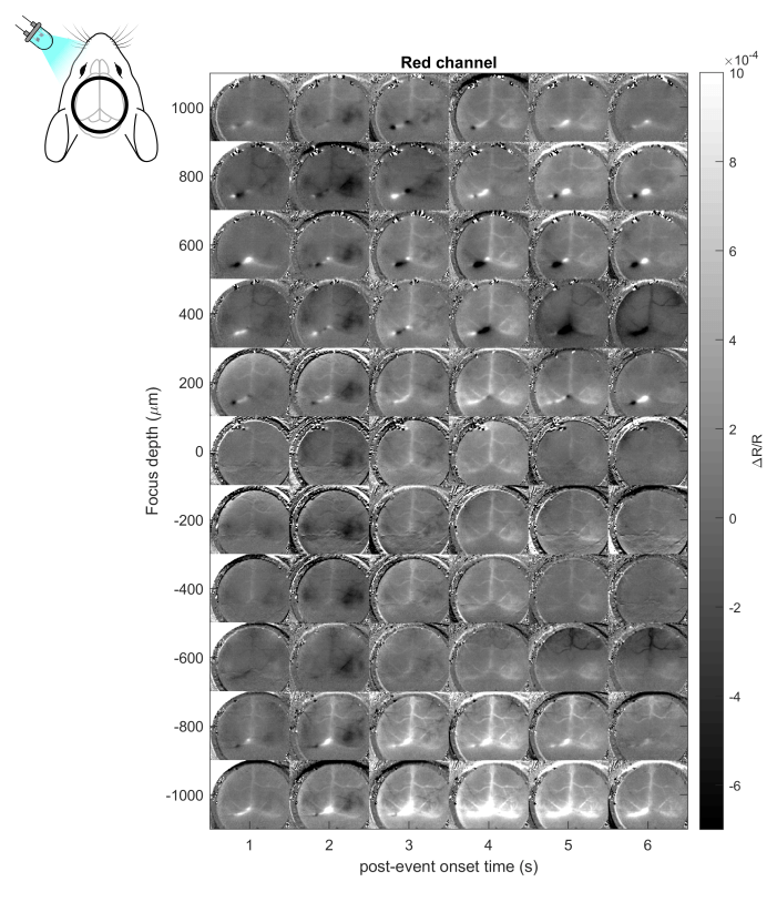 Adjusting the focus depth to enhance image quality of Red channel