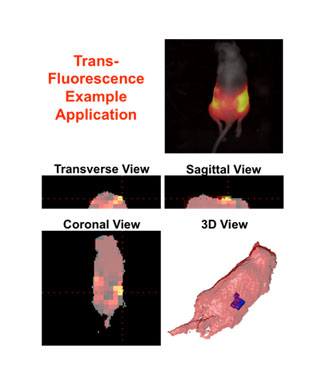 In vivo imaging system