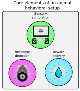 conceptual_core_elements_of_behavioral_experiments