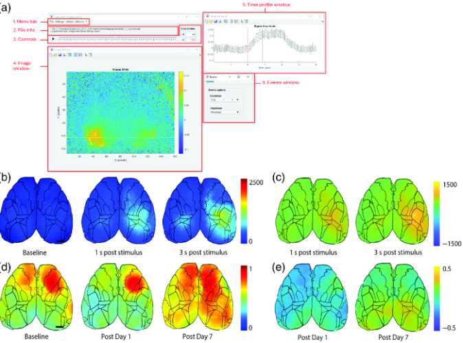 Publication umIT Bridging the gap: umIT makes complex imaging data accessible to scientists of all backgrounds