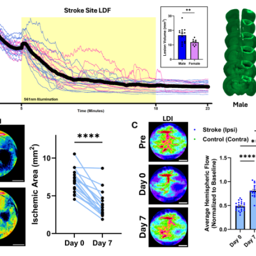 Screenshot 2026-01-27 052508