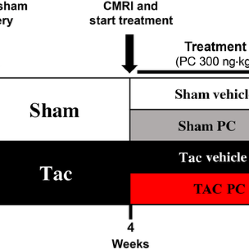 bph15048-fig-0001-m bph15048-fig-0001-m