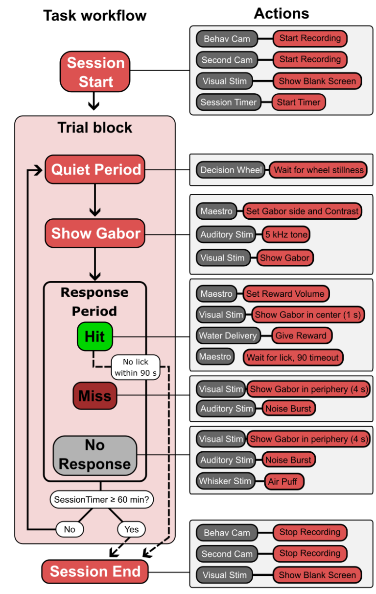 decision_wheel_task_workflow_using_Maestro